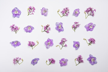 Beautiful spring flowers background. Spring time is comig