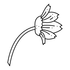Anemone oak flower doodle. Hand drawn outline vector illustration.