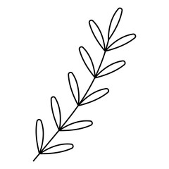 Branch doodle abstract with leaves. Hand drawn outline vector illustration.