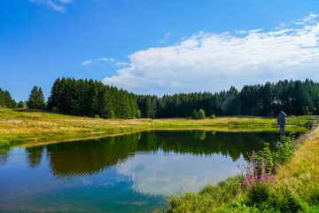 View of the landscape at the Wasserläufer Teich near Clausthal-Zellerfeld. Idyllic nature by the lake in the Harz National Park. Old mining pond. Water strider pond.


