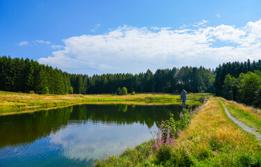 View of the landscape at the Wasserläufer Teich near Clausthal-Zellerfeld. Idyllic nature by the lake in the Harz National Park. Old mining pond. Water strider pond.


