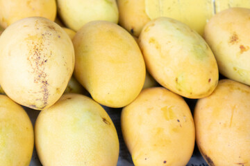 A pile of mangoes sold in the market