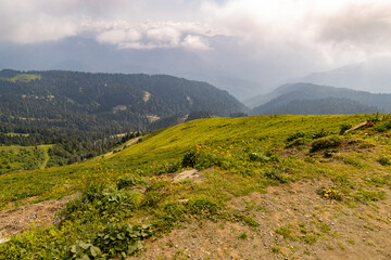Naklejka premium Russia, Sochi, Krasnaya Polyana. Summer landscapes of the Caucasus mountains in Rosa Khutor 