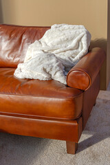 Throw Blanket Leather Couch