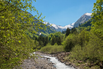 Fototapeta na wymiar trettach river in spring landscape, near Oberstdorf, allgau alps