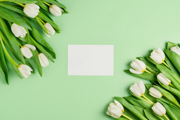 Fresh white tulips and empty white card on light green background. Natural flowers with green leaves. Spring season layout. Holiday mockup. Flower arrangement flat lay. Top view, copy space.