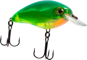 Transluscent green artificial fishing lure