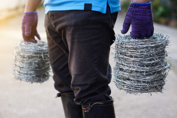 Closeup worker hand holds rolls of barbed wire. Concept, construction tool. Barbed wire is used for...