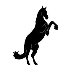 silhouette of standing horse © ahmadist