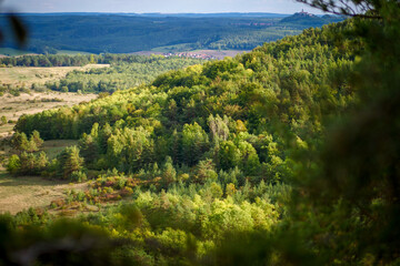 Landscape View in Thuringa, Germany: Green Mountains an Leuchtenburg Castle framed with bokeh of leaves on a sunny summer day | panorama from Dürrengleina 