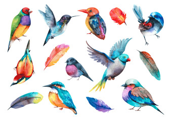 Obraz premium Watercolor collection of birds. Various colorful birds on a white background
