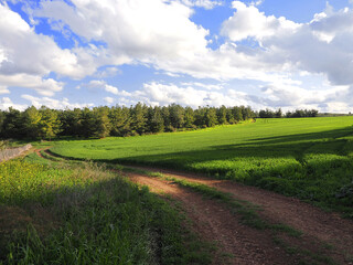 Green winter in Israel