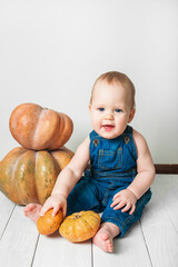 Handsome baby in denim overalls and pumpkin. Complementary feeding of children, first autumn of toddler, Halloween, food allergies.