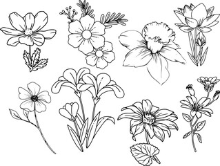 hand drawn flowers