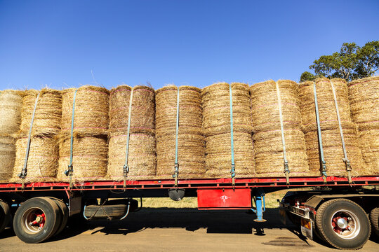 Large round hay bales on semi-trailer heading to drought affected areas of QLD.
