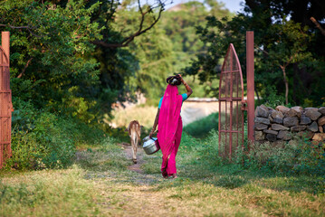 A woman wearing pink sari  carries pots of food on her head walks with a young cow through a green village