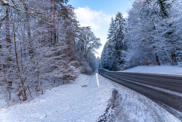 Road through a snowy forest
