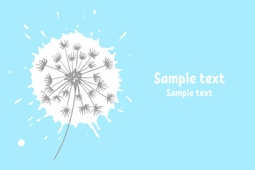 Silhouette of a white blooming dandelion on a blue background with space for text