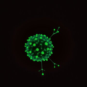 A macro closeup of cells.