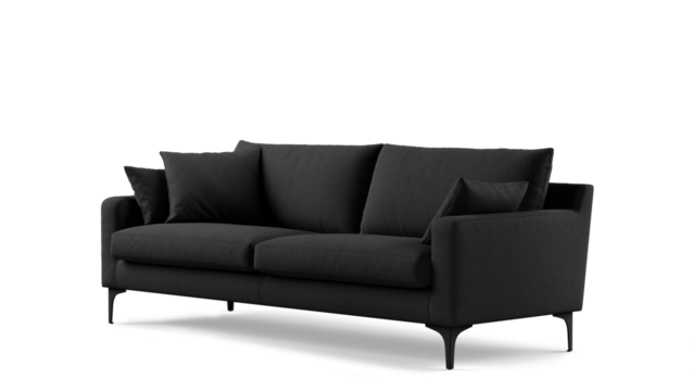 Modern sofa on isolated white background. Furniture for the modern interior, minimalist design.