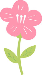 a pink flower_6