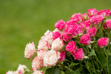 Small roses bouquet on green background with copy space. Floral greeting card mockup. Wedding invitation,happy mother day or Valentine day concept.