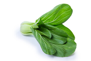 chinese cabbage isolated on white background