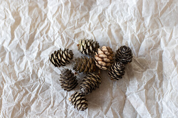 pine cones