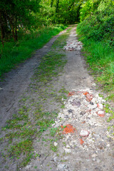 Old single track road make of broken bricks and soil