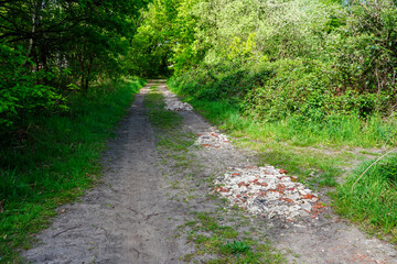 Fototapeta na wymiar Old single track road make of broken bricks and soil