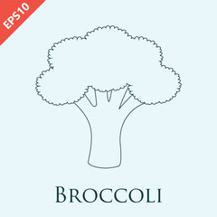 Hand drawn broccoli design vector flat isolated illustration