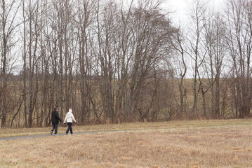 A walk in the park on a crisp winter day.