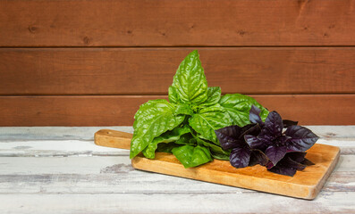 Purple and green basil on cutting board. Selective focus.