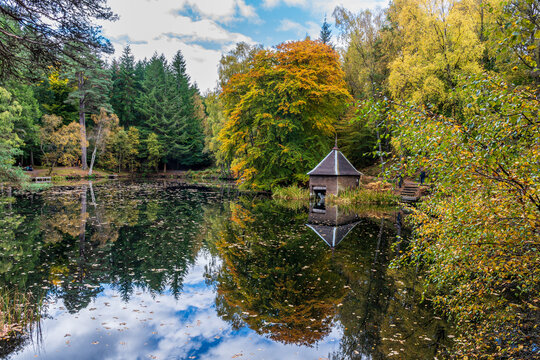Loch Dunmore, Faskally Wood, Pitlochry, Perthshire