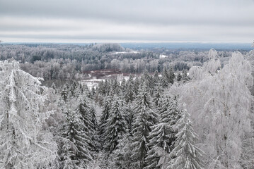 With Snow and frost covered forest and hills in moody cloudy winter landscape