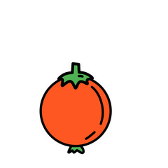 Vegetables Doodle Drawing Vector