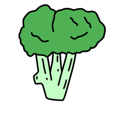 Vegetables Doodle Drawing Vector