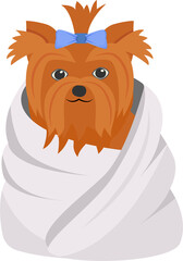 Clean dog in towel semi flat color raster element. Full sized object on white. Domestic animal. Yourkshire terrier grooming simple cartoon style illustration for web graphic design and animation