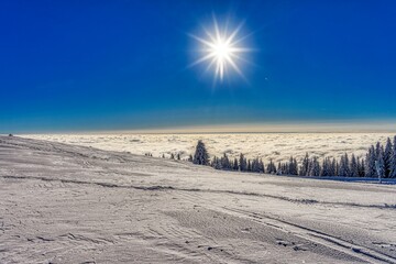landscape with snow covered trees and sea of fog in the valley
