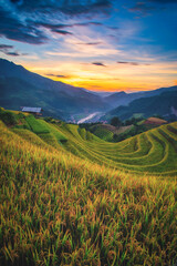 Rice fields on terraced with wooden pavilion at sunset in Mu Cang Chai, YenBai, Vietnam.