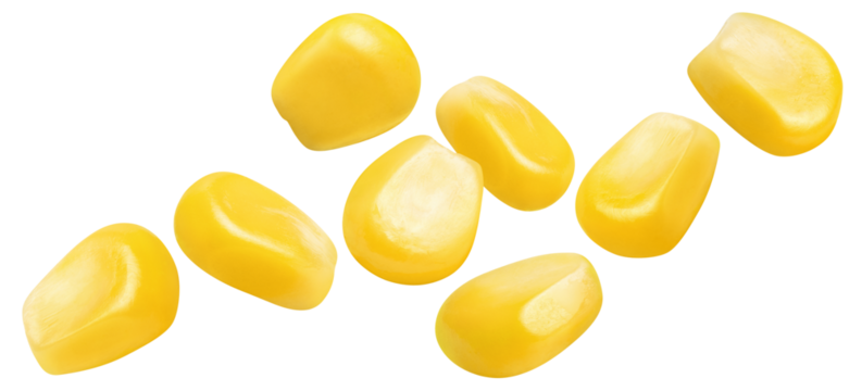 Flying corn seeds cut out