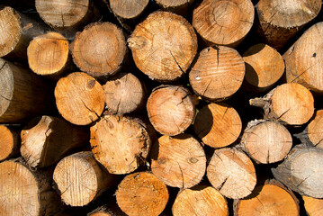 Pile of wood. Wood cut and stacked, prepared for a wood burning stove.