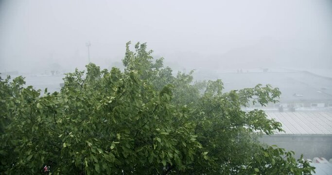 Rainfall, Natural Calamity Disaster Heavy Rainy Day. Raining Ice Storm, Torrential Hailstone Rain on Window, Inundation, Flooding, Torrential Rainstorm With Hail In Urban Residential Street