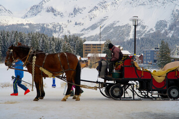 Horse-drawn carriage with horses in the swiss mountain village of Arosa in winter