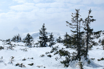 Zimowy krajobraz Śnieżki 