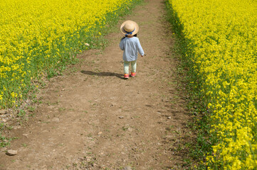 花畑と子供