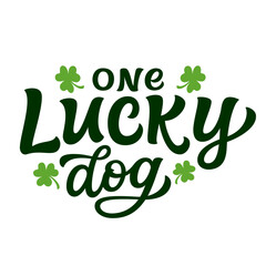 One lucky dog. Hand lettering text with green clover leaves isolated on white background. Vector typography for St/ Patrick's day decorations, dog clothes, bandanas - 566318456