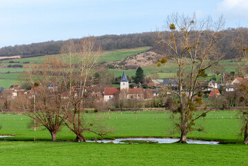 Obraz premium Cours d'eau, l'Andelle, rivière traversant des prairies humides. Village en arrière-plan