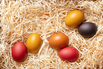 Fototapeta na wymiar Colorful dyed Easter eggs in a wood wool nest, from above. Paschal eggs, hard boiled, colored chicken eggs, in a bed of wood slivers, cut from logs, used during Eastertide as decoration and as a gift.