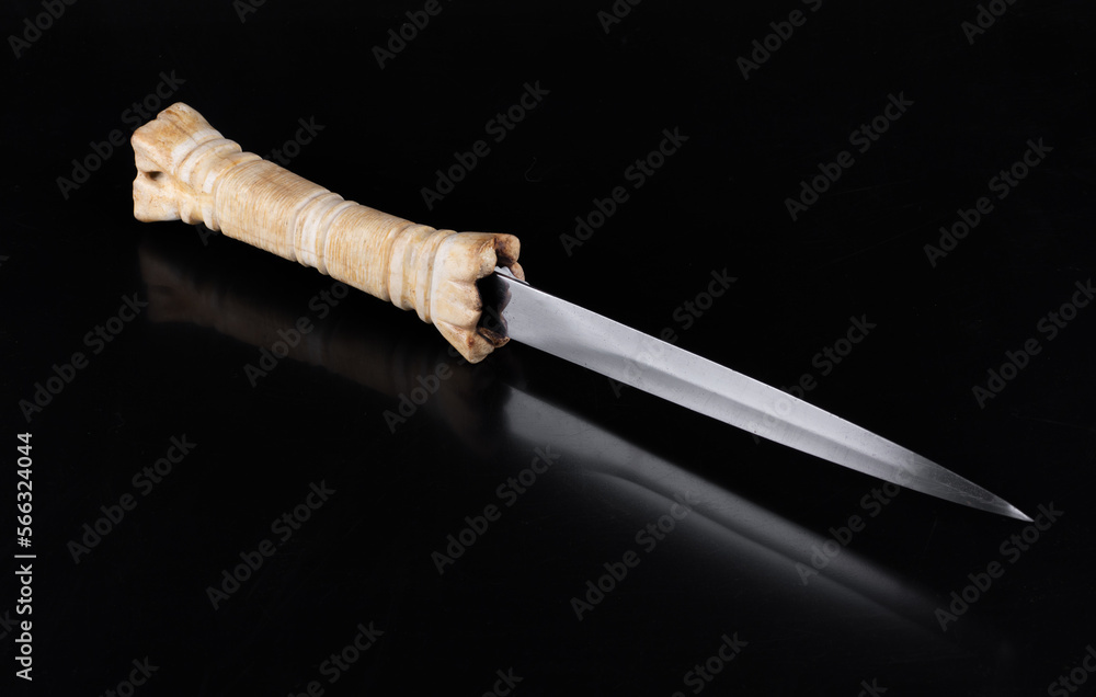 Sticker ancient sword with bone hilt